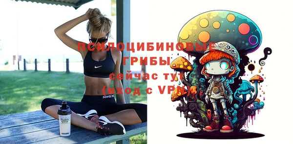 прущая мука Армянск
