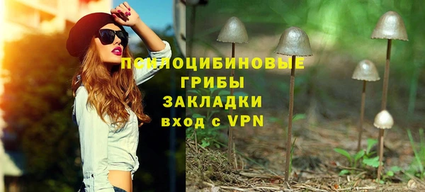 ешки Арсеньев