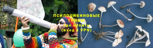 ешки Арсеньев