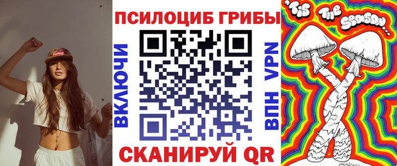 Псилоцибиновые грибы GOLDEN TEACHER  где купить наркотик  Терек 