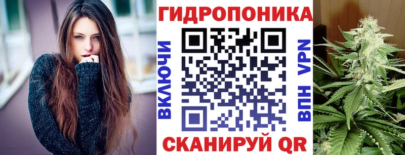Шишки марихуана Amnesia Терек
